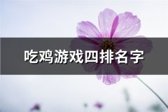 吃鸡游戏四排名字(精选71个)