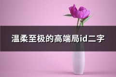 温柔至极的高端局id二字(精选127个)