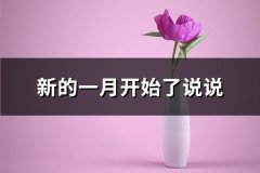 新的一月开始了说说