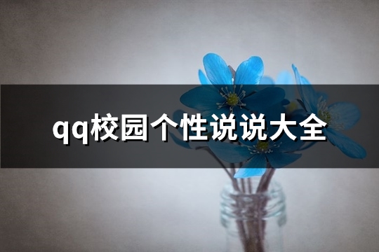 qq校园个性说说大全 qq校园个性说说大全