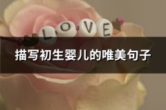 描写初生婴儿的唯美句子