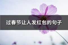过春节让人发红包的句子