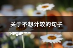 关于不想计较的句子