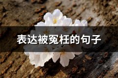 表达被冤枉的句子