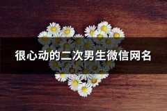 很心动的二次男生微信网名(302个)
