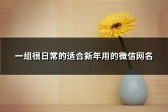 一组很日常的适合新年用的微信网名(共147个)