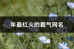 2023年最红火的霸气网名(737个)