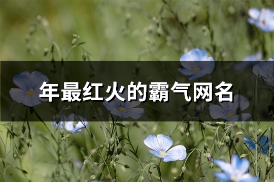 2023年最红火的霸气网名(737个)