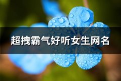 超拽霸气好听女生网名(163个)