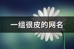 一组很皮的网名(优选81个)