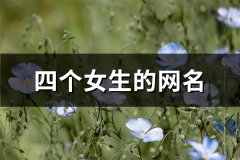 四个女生的网名(精选410个)