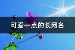 可爱一点的长网名(共389个)