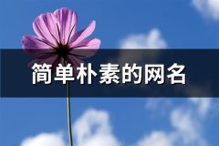 简单朴素的网名(精选80个)