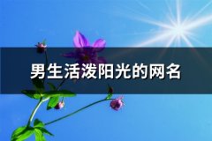 男生活泼阳光的网名(优选130个)