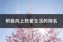 积极向上热爱生活的网名(优选208个)
