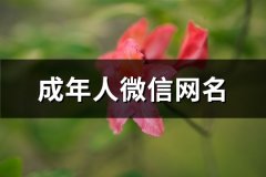 成年人微信网名(共242个)