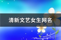 清新文艺女生网名(共456个)