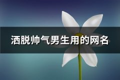 洒脱帅气男生用的网名(精选294个)