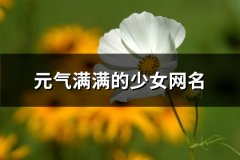 元气满满的少女网名(共509个)