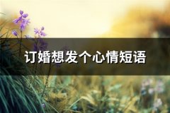 订婚想发个心情短语(推荐50句)