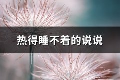 热得睡不着的说说(精选60句)