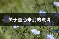 关于童心未泯的说说(必备52句)