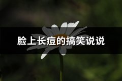 脸上长痘的搞笑说说(必备65句)