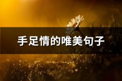 手足情的唯美句子(实用73句)