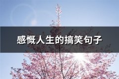 感慨人生的搞笑句子(精选32句)