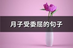 月子受委屈的句子(推荐47句)