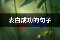 表白成功的句子(热门69句)
