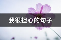 我很担心的句子(优选118句)