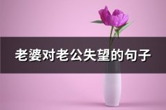 老婆对老公失望的句子(共76句)