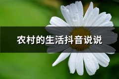 农村的生活抖音说说(汇总51句)