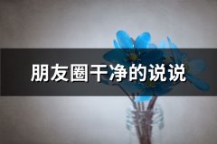 朋友圈干净的说说(共65句)