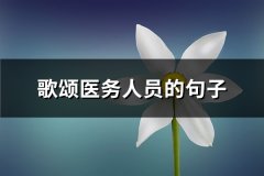 歌颂医务人员的句子(汇总23句)