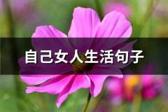 自己女人生活句子(66句)