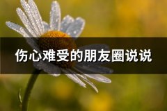 伤心难受的朋友圈说说(汇总67句)