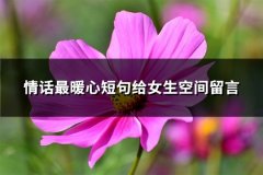 情话最暖心短句给女生空间留言(精选66句)