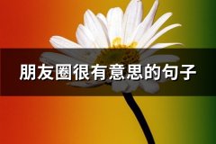 朋友圈很有意思的句子(精选65句)