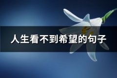 人生看不到希望的句子(通用68句)