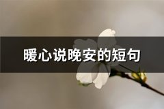 暖心说晚安的短句(优选34句)