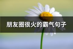 朋友圈很火的霸气句子(汇总67句)