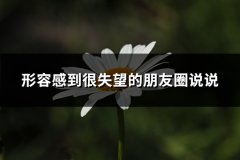 形容感到很失望的朋友圈说说(必备50句)