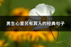 男生心里另有其人的经典句子(热门72句)