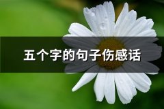 五个字的句子伤感话(热门55句)