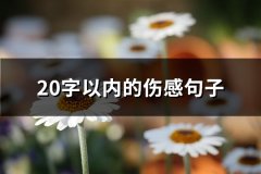 20字以内的伤感句子(推荐66句)