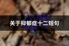 关于抑郁症十二短句(热门35句)