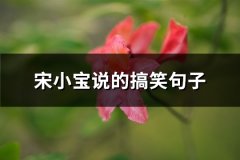 宋小宝说的搞笑句子(热门62句)