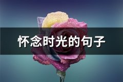 怀念时光的句子(70句)